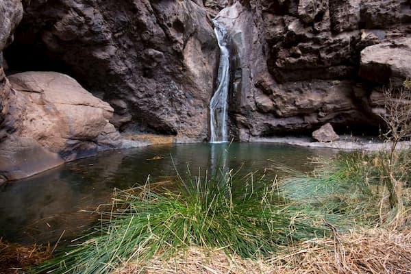 el-charcho-azul